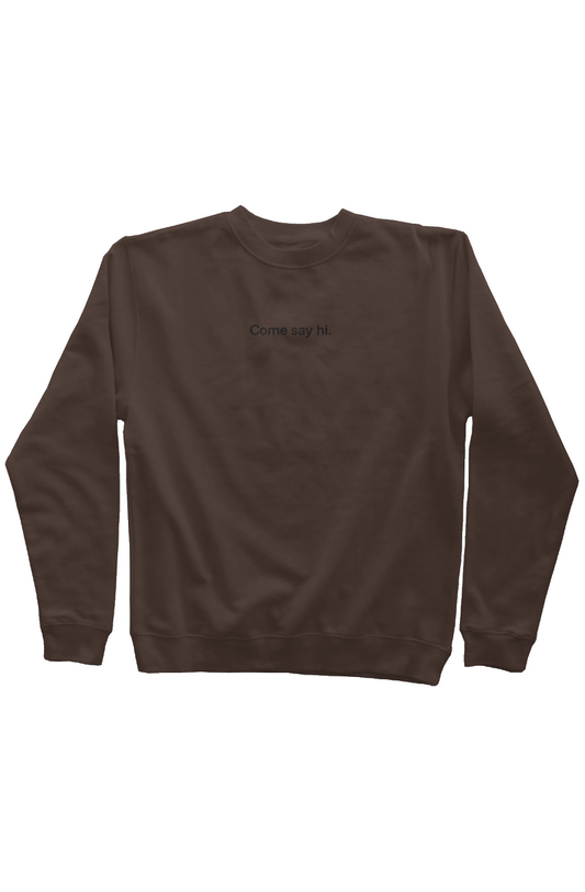 Final. Shopify. Back. Brown Sweater.